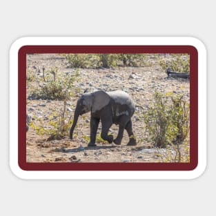 Namibia. Etosha National Park. Baby Elephant. Sticker